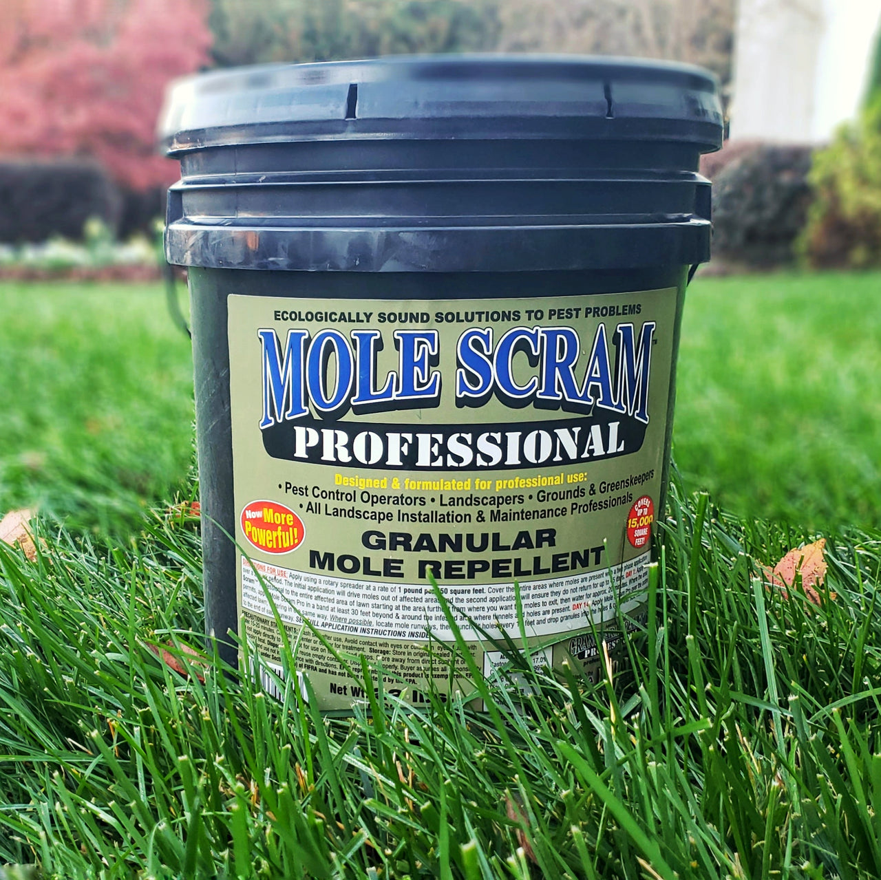 Professional Mole Scram: Best Way to Keep Moles Out of Your Garden or Lawn