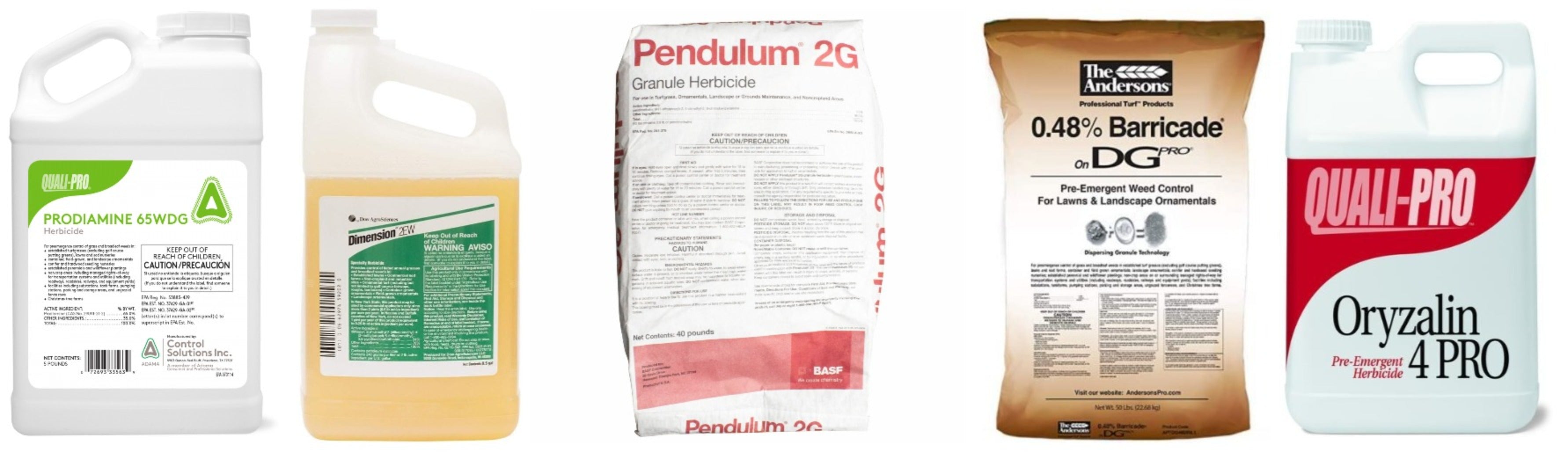 Fescue: Pre-emergent Herbicides (Weed Preventer)