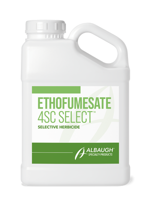 Ethofumesate 4 SC Select  .5 Gallon