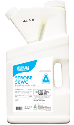 Strobe 50WG (Heritage) Fungicide