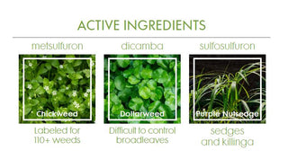 Southpaw Herbicide - 8 oz