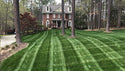 Crown Jewel Tall Fescue Blend - 50lbs