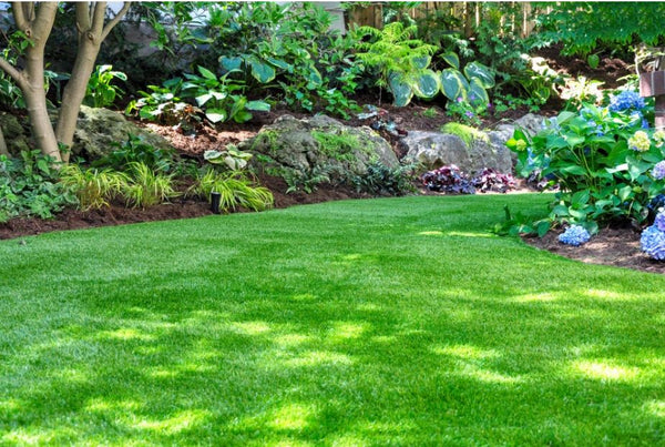 Clean Seed Tall Fescue Blend - 45lbs