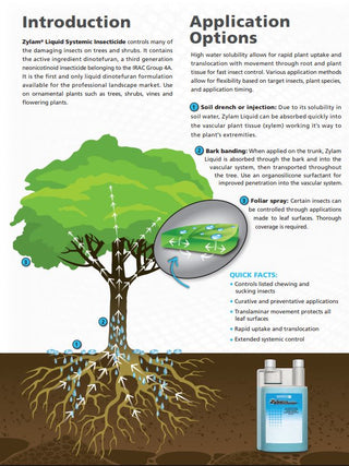 Zylam Liquid Insecticide