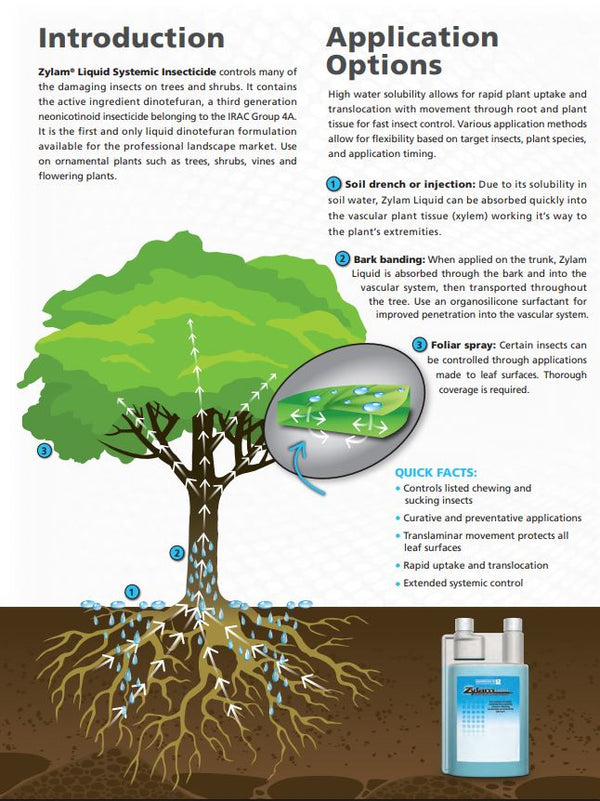 Zylam Liquid Insecticide