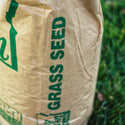 Grass Seed Premium RYE Gulf Annual Oregon Grown - 50 LBS