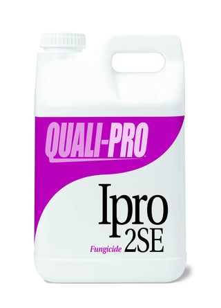 Ipro 2SE (generic Chipco 26GT) (Iprodione) - 2.5 Gallon